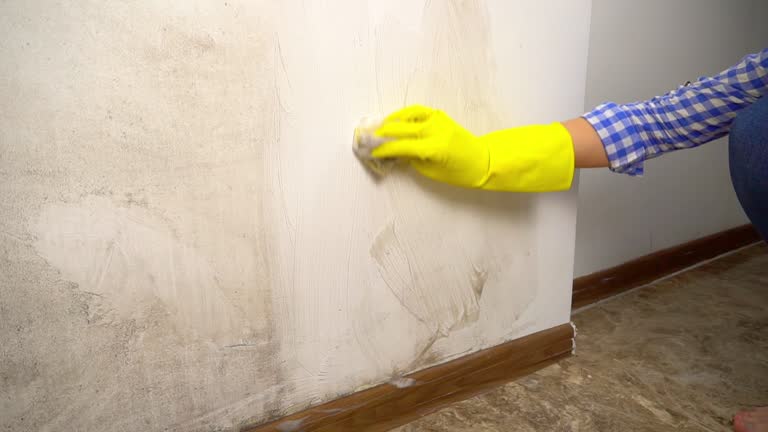 Best Black Mold Removal  in Wadley, GA